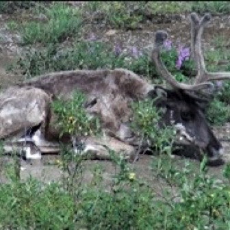 Screen Shot 2016-07-14 at 8.56.37 PM.jpg